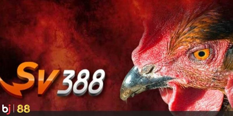 Khám phá sảnh cược uy tín