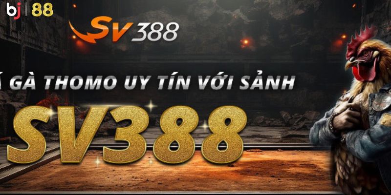 Theo dõi tại nhà cái để nhận ưu đãi