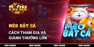 Mèo Bắt Cá - Cách Tham Gia Và Giành Thưởng Lớn Mỗi Ngày