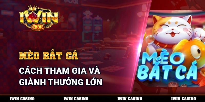 Mèo Bắt Cá - Cách Tham Gia Và Giành Thưởng Lớn Mỗi Ngày